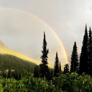 Meet your Posher, Joan